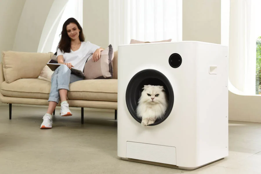 odor free cat box