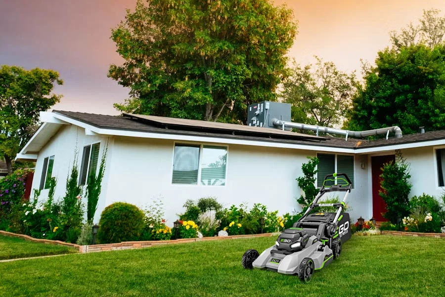 best inexpensive lawn mower